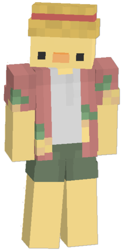 Minecraft person